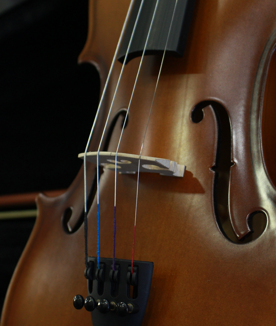 VIOLINO__
