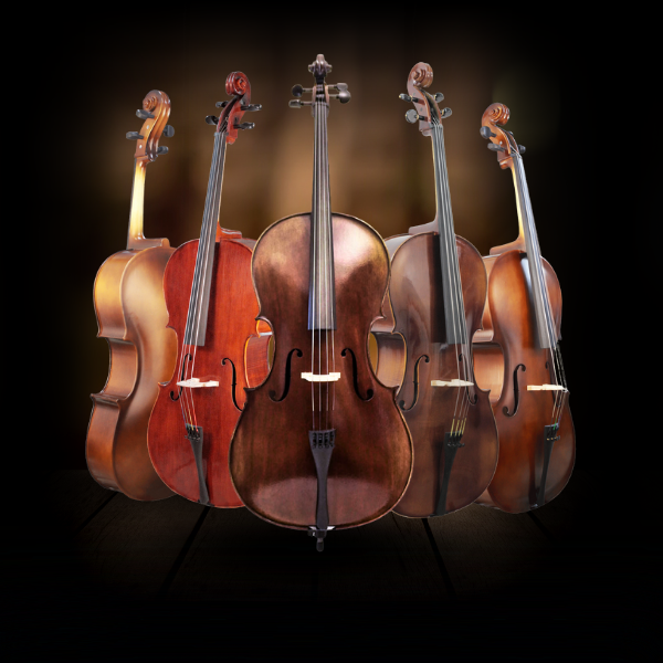 Violoncelo- Oliver Strings